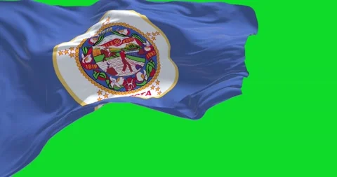 The US state flag of Minnesota waving in the wind Stock Footage 202188971