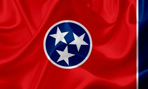 US state flags. In high quality on silk fabric. Stock Illustration