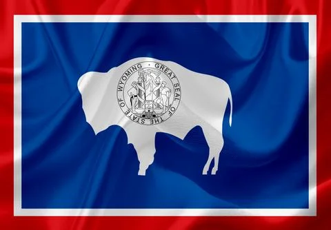 US state flags. In high quality on silk fabric. Stock Illustration