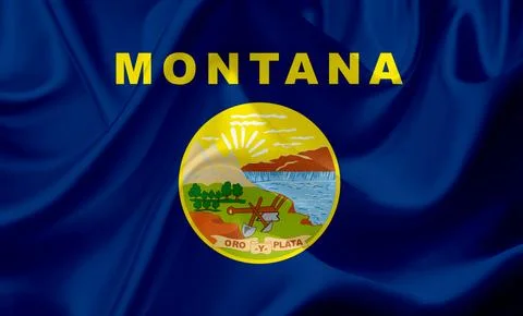 US state flags. In high quality on silk fabric. Stock Illustration