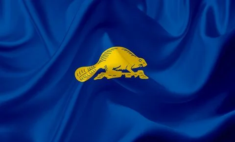 US state flags. In high quality on silk fabric. Stock Illustration