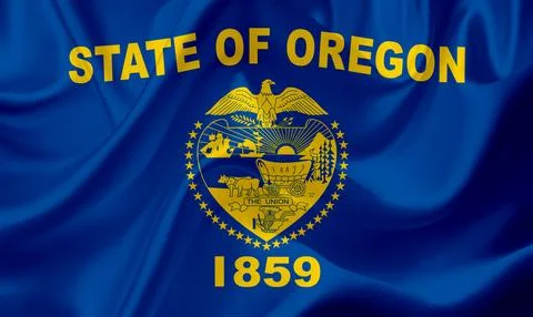 US state flags. In high quality on silk fabric. Stock Illustration