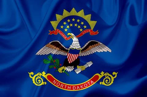 US state flags. In high quality on silk fabric. Stock Illustration