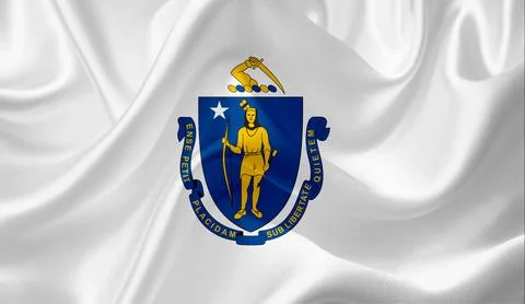 US state flags Stock Illustration