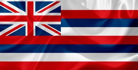 US state flags Stock Illustration