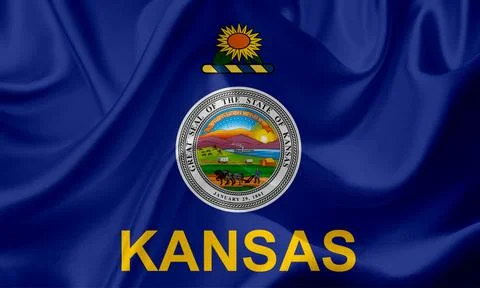 US state flags Stock Illustration