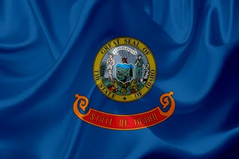 US state flags Stock Illustration