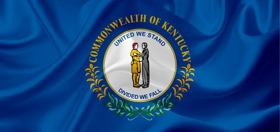 US state flags Stock Illustration