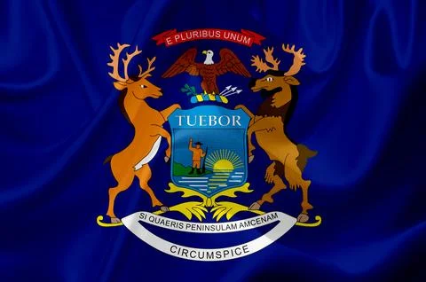 US state flags Stock Illustration