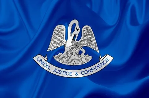 US state flags Stock Illustration