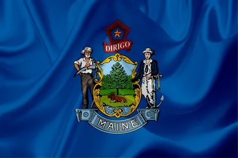 US state flags Stock Illustration