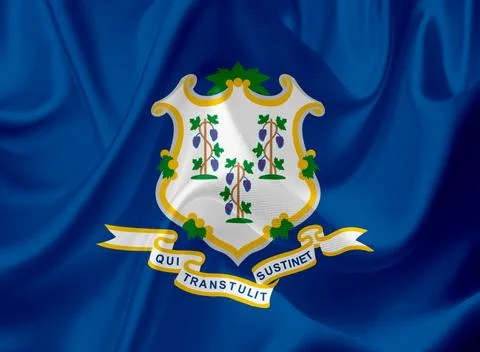 US state flags Stock Illustration