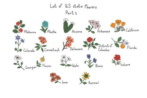 US state flowers Stock Illustration