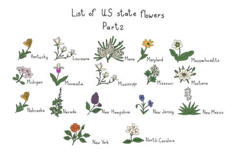 US state flowers Stock Illustration