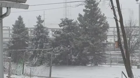 US: Steady snowfall builds up faster than expected in East Toledo, Ohio, ... Video stock 326838158