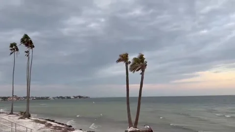 US: Strong winds and rough water from cold front in St. Petersburg, Flori... Stock Footage 329010719