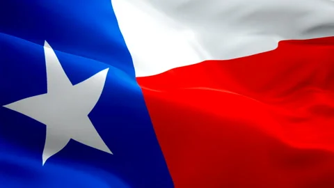 U.S. Texas State flag waving in wind video footage Full HD. Realistic State Flag Stock Footage 105026291
