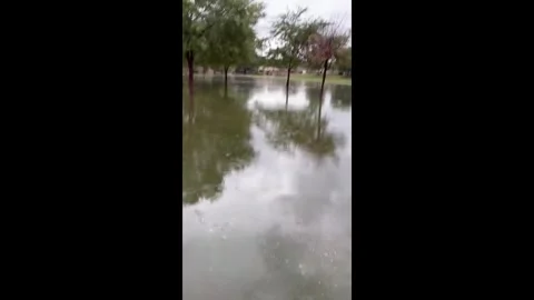 US: Thunderstorm causes severe flooding in Gilbert, Arizona Vidéo 320752123