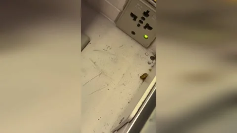 US: TikTok User Exposes "Worst First Class Experience" on Air India's Chicag... Video stock 285791549