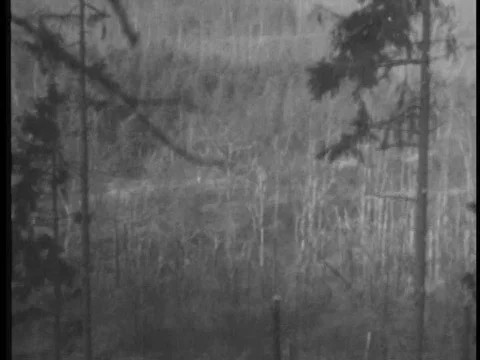 US troops battle in Hurtgen Forest in Germany in the 1940s. Stock Footage 75276501