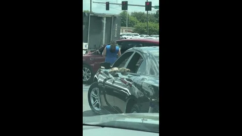 US: Two Giant Pythons Pull Up to a Coffee Drive-Thru Video stock 340183606