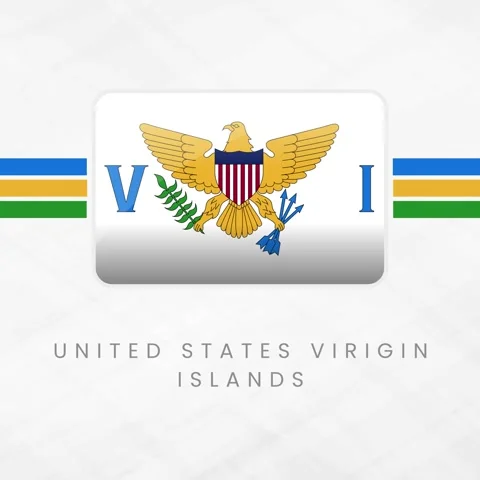 US Virgin Islands Flag Button Icon, Waving United States Virgin Islands Nat.. Stock Footage 332067784