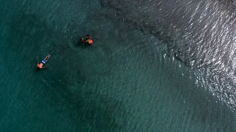 US Virgin Islands-ST. Thomas - Family of 4 Snorkling at Megans Bay Stock Footage 104368687