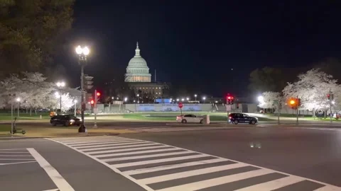 US: Washington D.C. Cherry Blossoms Near Peak Bloom as Warm Weather Moves... Stock Footage 331438230