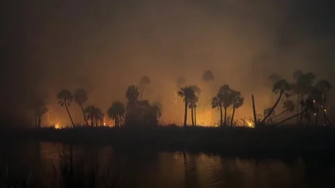 US: Weeki Wachee Preserve Brush Fire Prompts Evacuations in Hernando Beac... Stock Footage 331896376