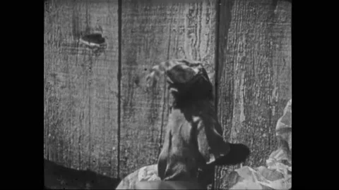 USA - 1923 - In this silent comedy, a monkey sets fire to a trash heap that Stock Footage 259619935