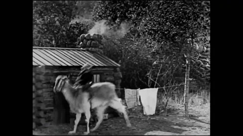 USA - 1924 - In this silent comedy starring monkeys, a dance hall is populated Stock Footage 323259590