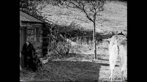USA - 1924 - In this silent comedy starring monkeys, a criminal hides from a Видео 323263459