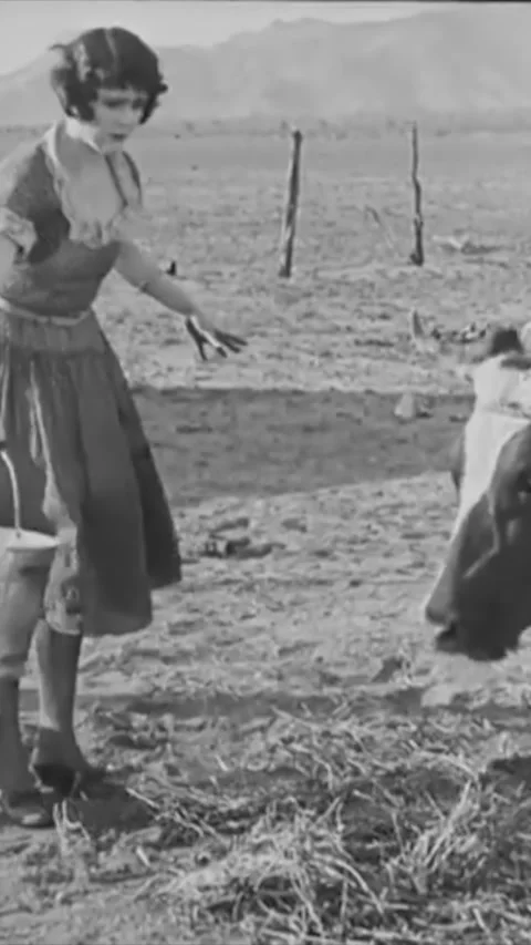 USA - 1925 - In this silent comedy, a cowboy (Buster Keaton) and his saddle fall Stock Footage 342994442