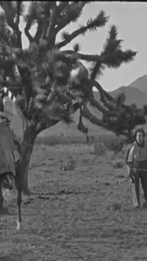 USA - 1925 - In this silent comedy, a cowboy (Buster Keaton) frees a cow who's Stock Footage 342995248