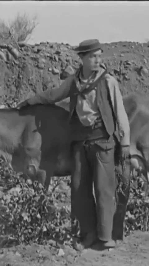 USA - 1925 - In this silent comedy, a cowboy (Buster Keaton) uses shaving cream Stock Footage 342995261