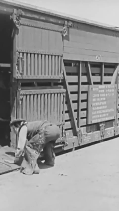 USA - 1925 - In this silent comedy, a cowboy (Buster Keaton) takes a cow he Stock Footage 342996097