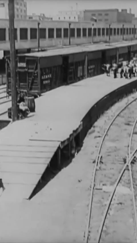 USA - 1925 - In this silent comedy, a cowboy (Buster Keaton) taking one cow off Stock Footage 342996257