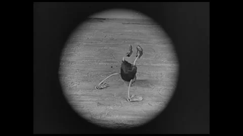 USA - 1927 - In this silent comedy, an inventor threatens a stop-motion animated Stock Footage 340666802