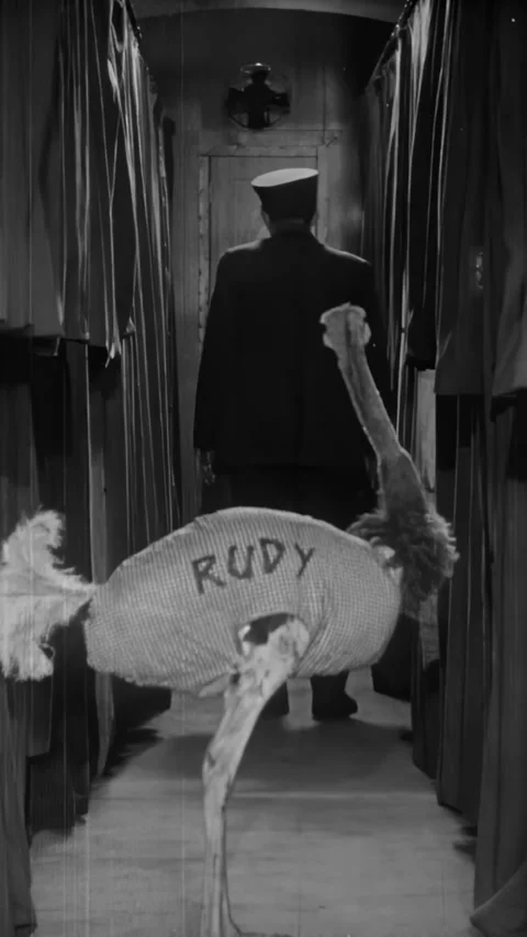 USA - 1928 - In this silent comedy, a conductor throws an ostrich off a train Stock Footage 340294998