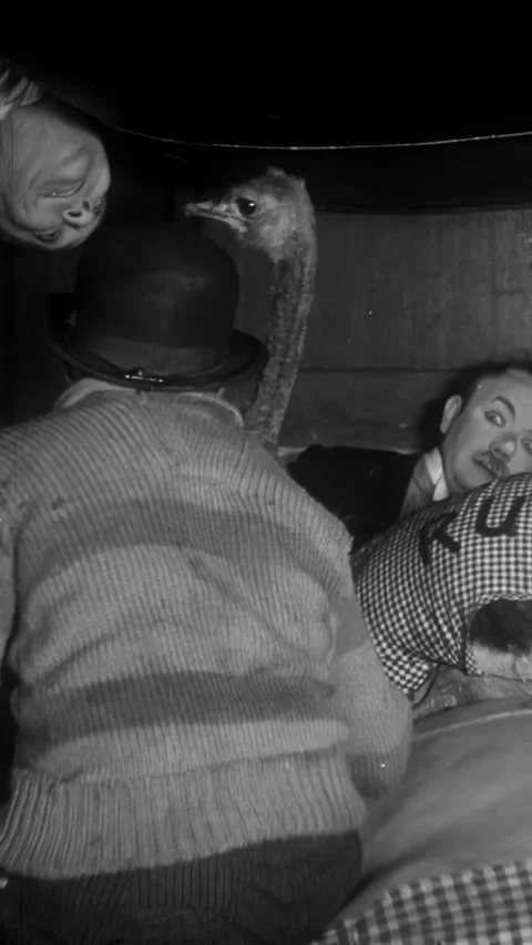 USA - 1928 - In this silent comedy, a train passenger trying to hide an ostrich Stock Footage 340295070
