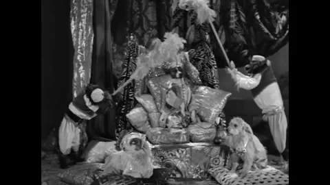 USA - 1930 - In this comedy, a canine sultan smokes a hookah pipe while Stock Footage 340662028