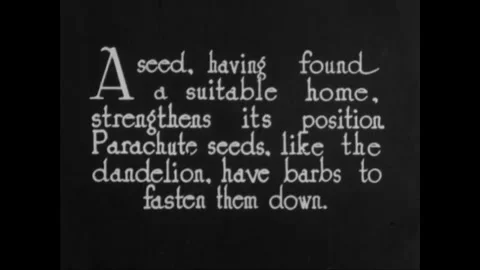 USA - 1930s - The difference between parachute and cress seeds are illustrated. Stock Footage 261571913