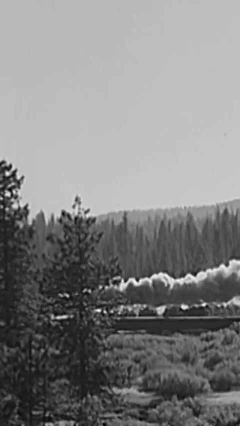 USA - 1930s - Steam engine passenger trains move through a forested landscape. Stock Footage 338404782
