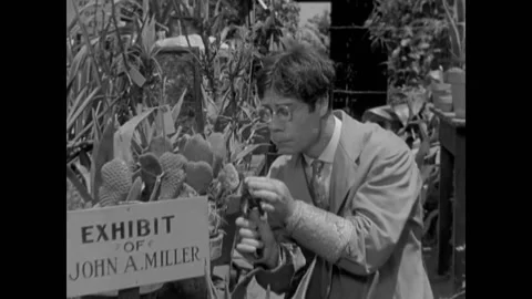USA - 1931 - In this comedy, a man with round glasses prunes a plant in a Stockbeeldmateriaal 325209337