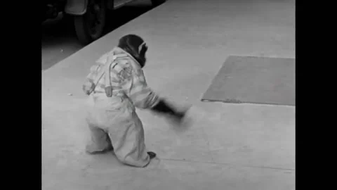 USA - 1932 - In this comedy, a drunk chimpanzee causes chaos in a series of Stock Footage 316612858