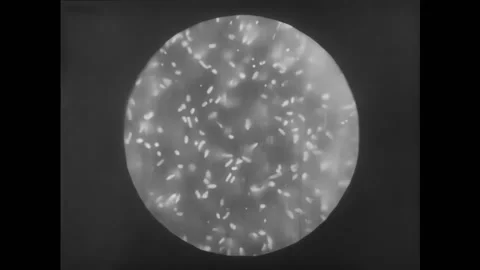 USA - 1932 - A microscope is used to watch as a substance is heated to rid it of Stock Footage 296400975