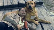 Usa - 1944: Man Sleeps With His Dog Stock Footage