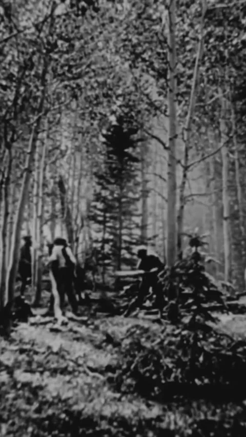 USA - 1945 - In this documentary directed by Frank Capra, the ideals behind the Stock Footage 338417567