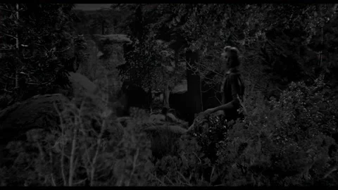 USA - 1958 - In this sci-fi horror, a woman searches the woods and sees a giant 動画素材 323086732