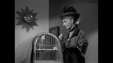 USA - 1959 - In this comedy horror, a group of people speak with a parrot in a Stock-Footage 341977239